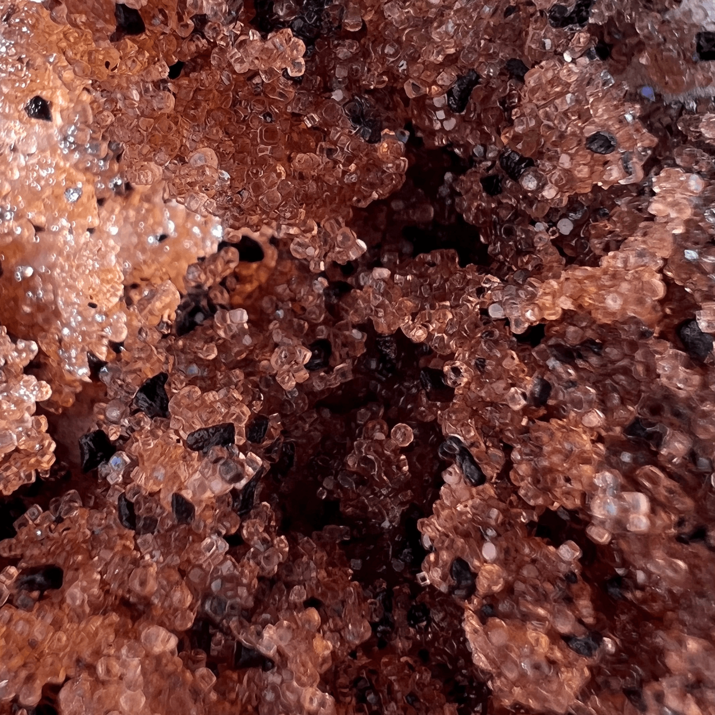 The Exfoliation Bundle Coffee Scrub Life's Butter