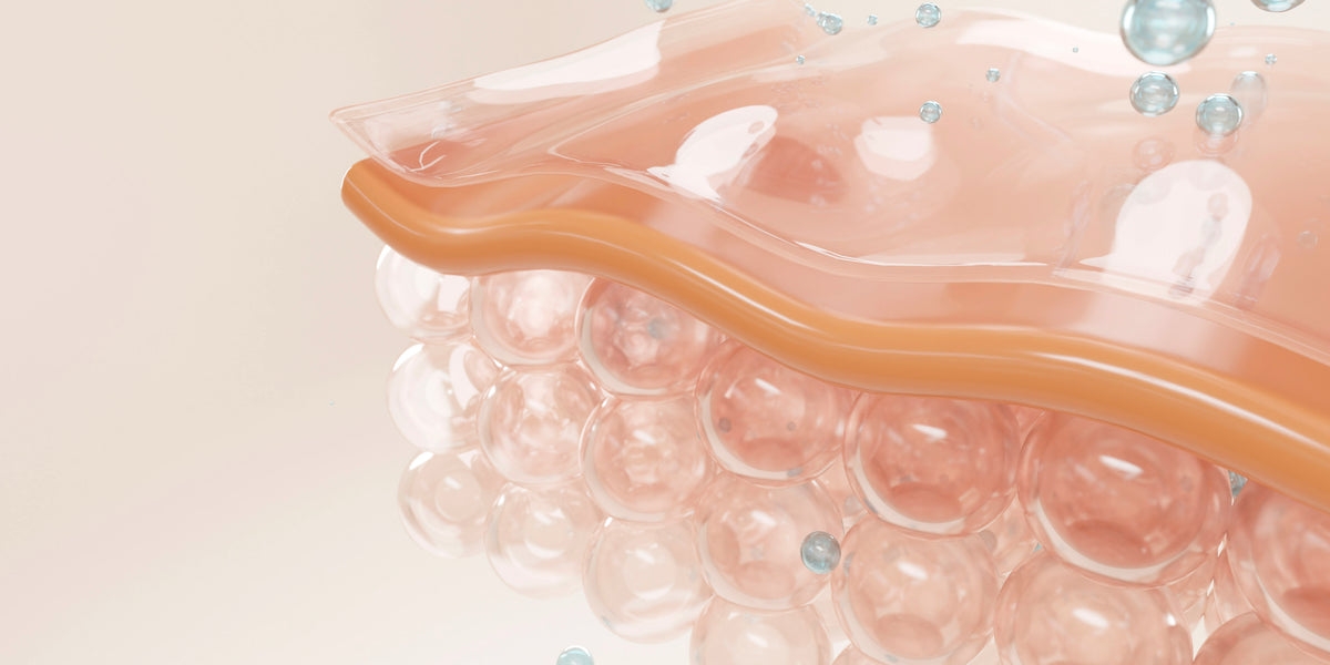 Whtas Cellulite What Causes Cellulite on the Legs? – Life's Butter